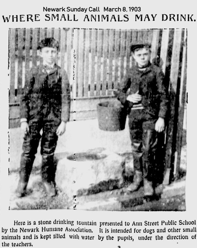 Where Small Animals May Drink
March 8, 1903
