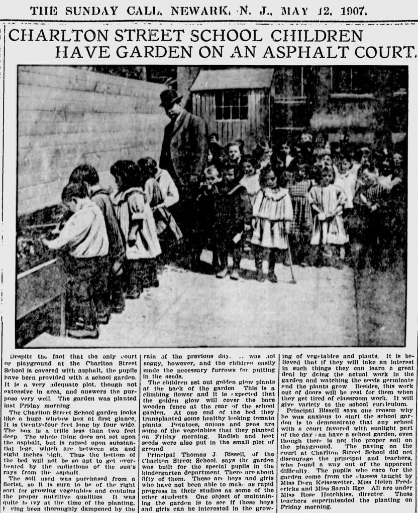Charlton Street School Children have Garden on an Asphalt Court
