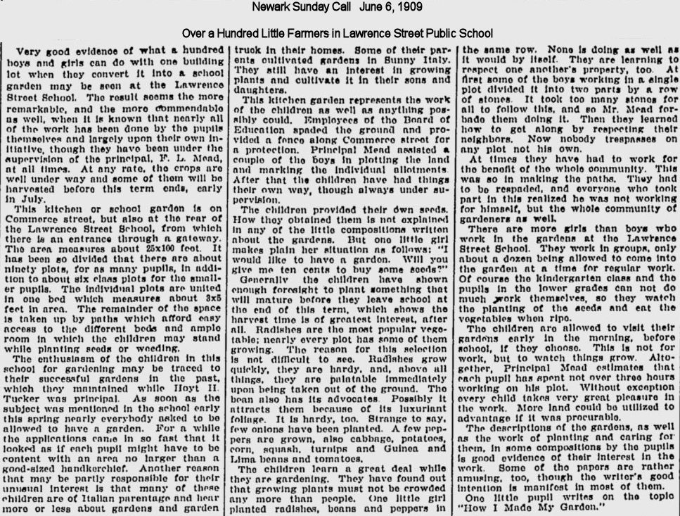 Over a Hundred Little Farmers in Lawrence Street Public School
1909
