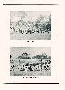 Filename=barringerfootball1123194414.gif
Filesize=151KiB
Dimensions=581x800
Date added=Dec 05, 2007 barringerfootball1123194414.gif