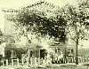 oliverstreetschool06.gif